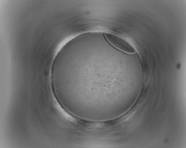 X0000092051387200709191112