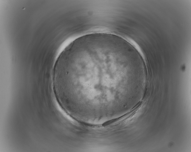 X0000092051389200709191112