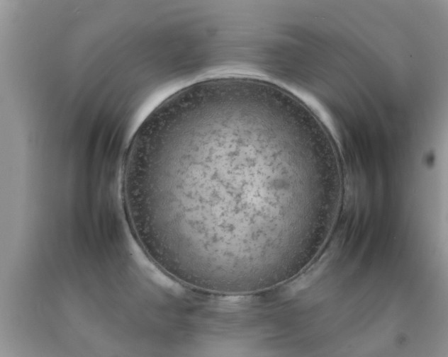 X0000092051390200709191112