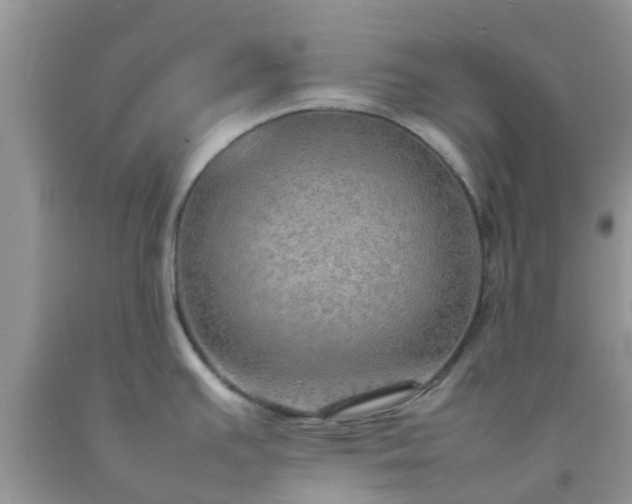 X0000092051391200709191112