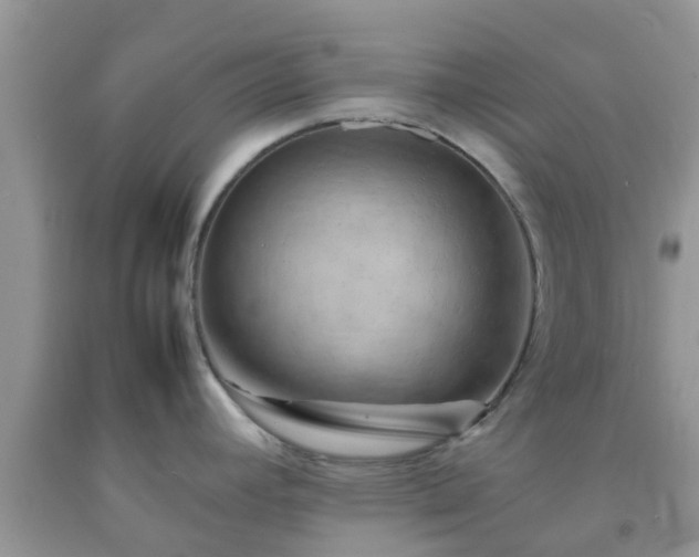 X0000092051392200709191112