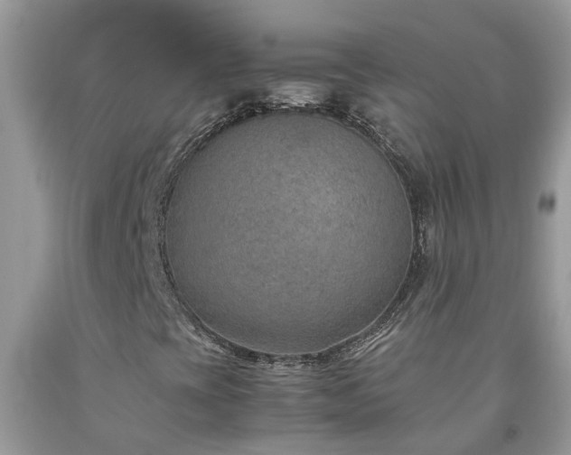 X0000092051393200709191111