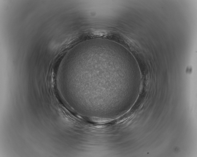 X0000092051394200709191111