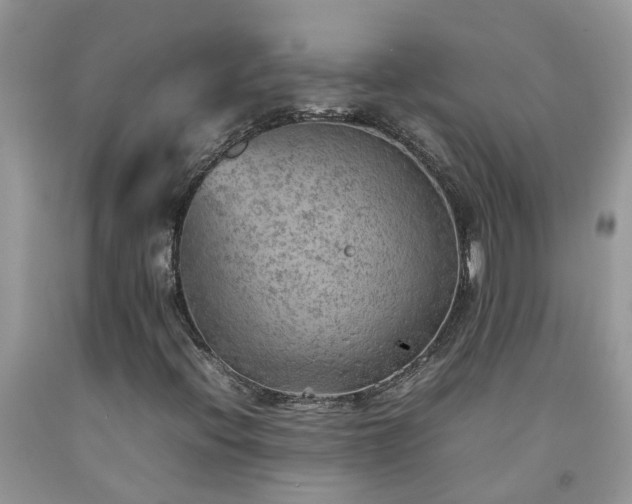 X0000092051396200709191111