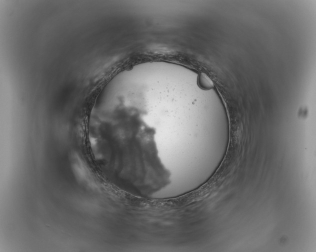 X0000092051397200709191111