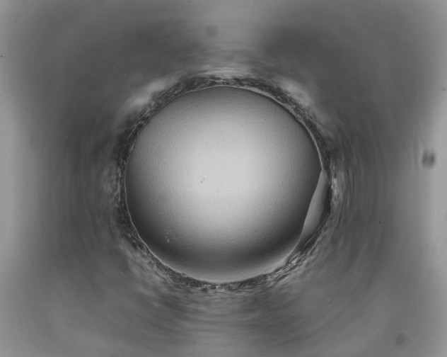 X0000092051398200709191111