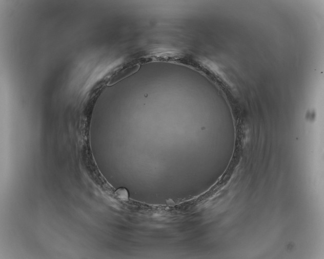 X0000092051399200709191111