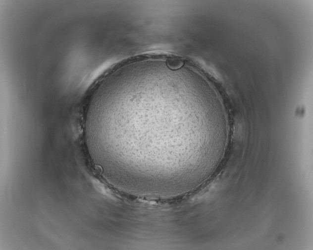 X0000092051400200709191111