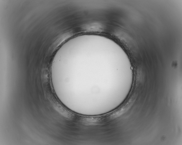 X0000092051401200709191111