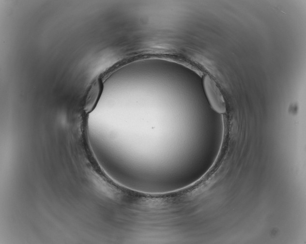 X0000092051402200709191111