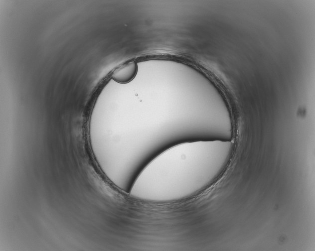 X0000092051404200709191111