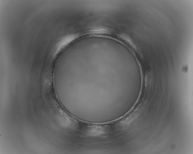 X0000092051405200709191111