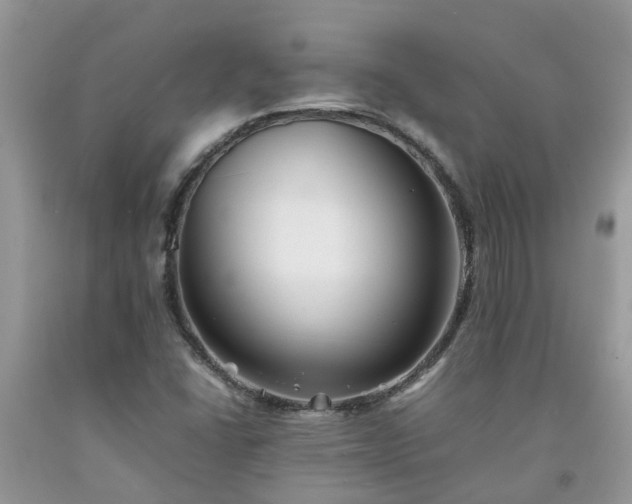 X0000092051406200709191111