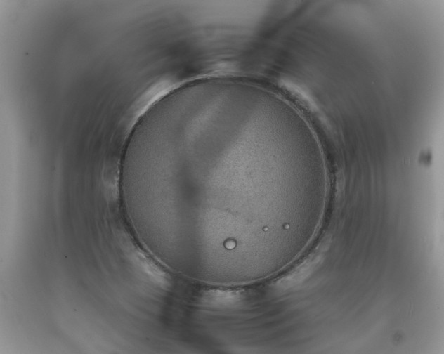 X0000092051409200709191111