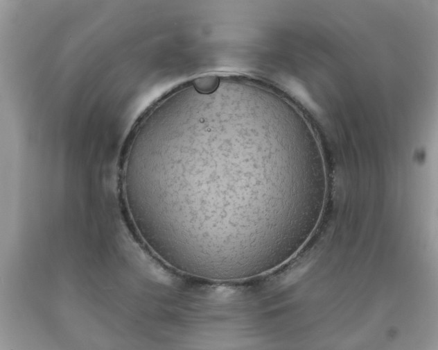 X0000092051412200709191111