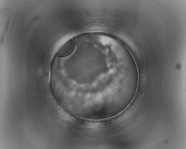 X0000092051413200709191111