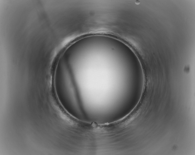 X0000092051414200709191111