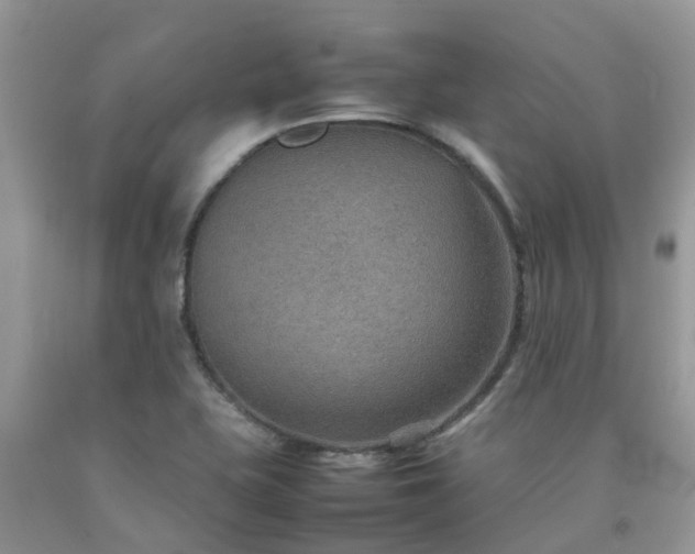 X0000092051415200709191111