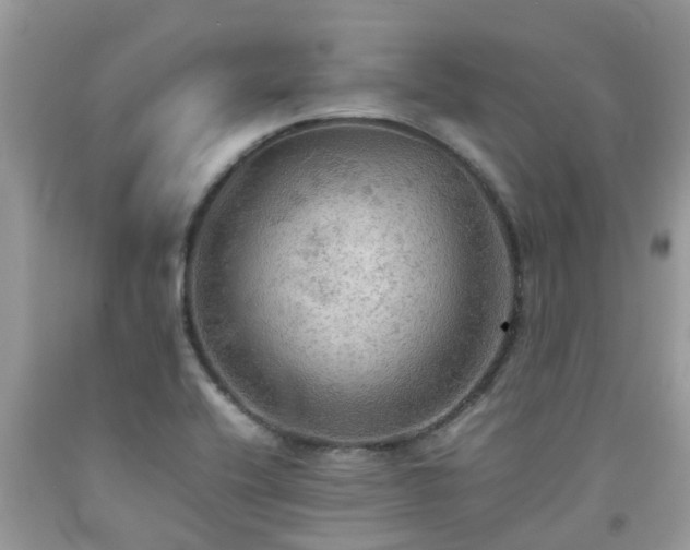 X0000092051416200709191111