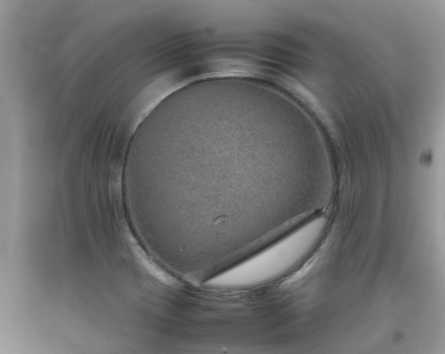 X0000092051417200709191111