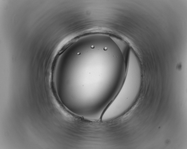 X0000092051418200709191111