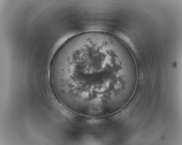 X0000092051419200709191111