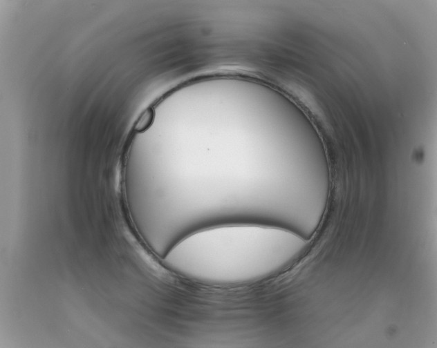 X0000092051420200709191111