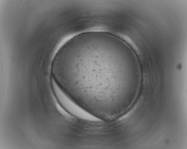 X0000092051421200709191111