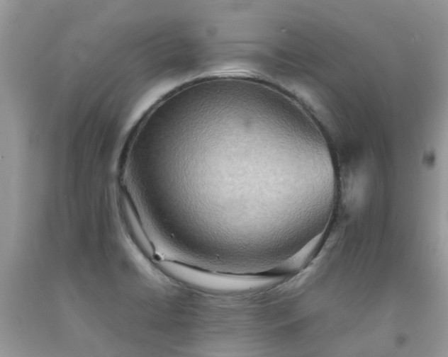 X0000092051422200709191111