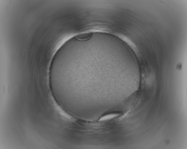 X0000092051423200709191111