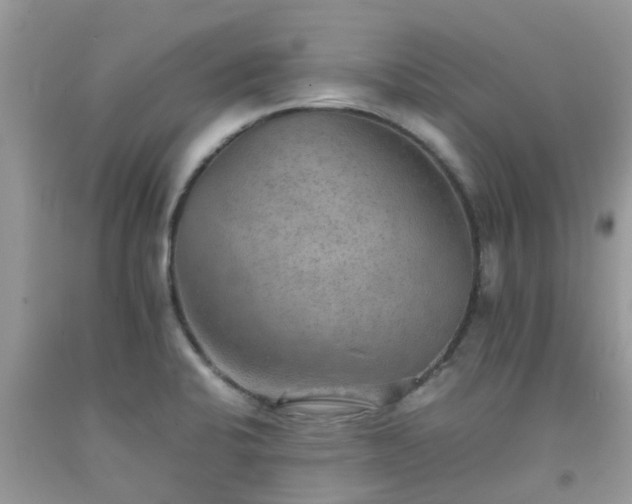 X0000092051424200709191111