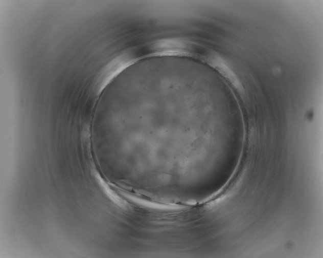 X0000092051425200709191111