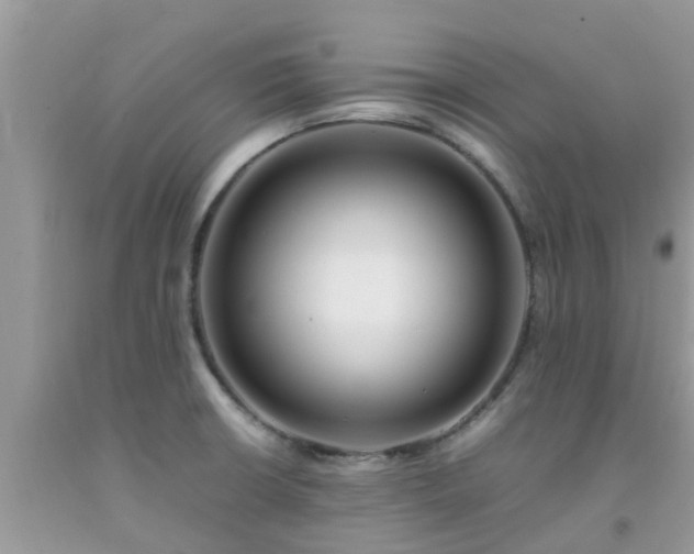 X0000092051426200709191111