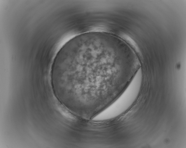 X0000092051427200709191111