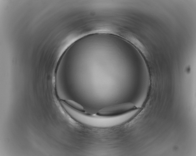 X0000092051428200709191111