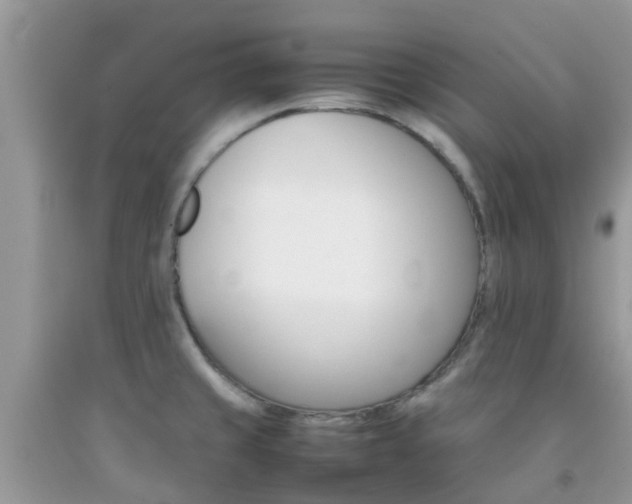 X0000092051429200709191111