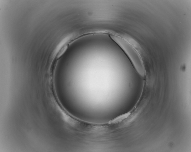 X0000092051430200709191111