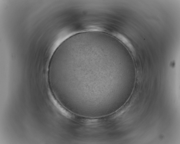 X0000092051431200709191111