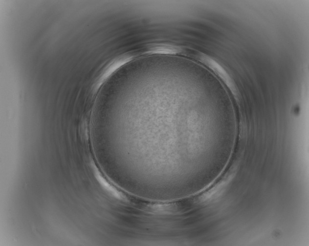 X0000092051433200709191112