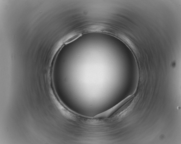 X0000092051434200709191112