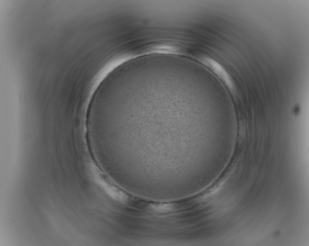 X0000092051435200709191112