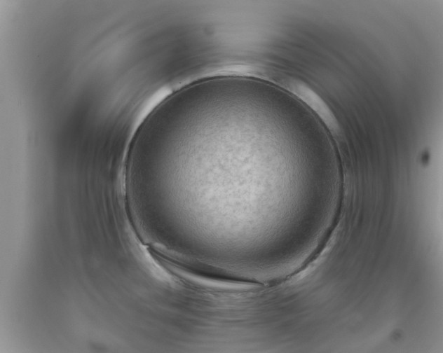 X0000092051436200709191112