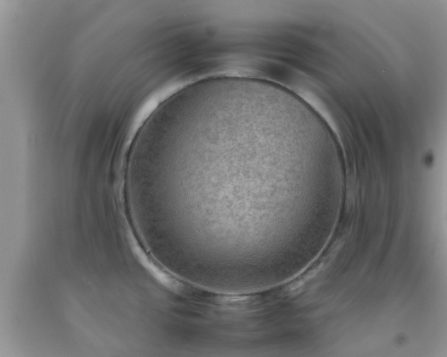 X0000092051437200709191112