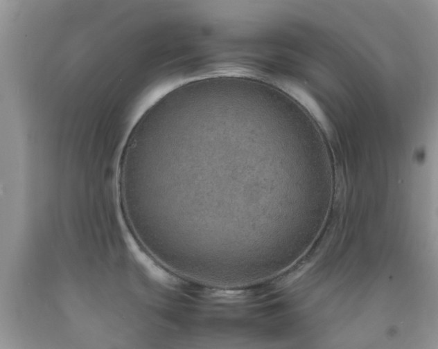 X0000092051439200709191112