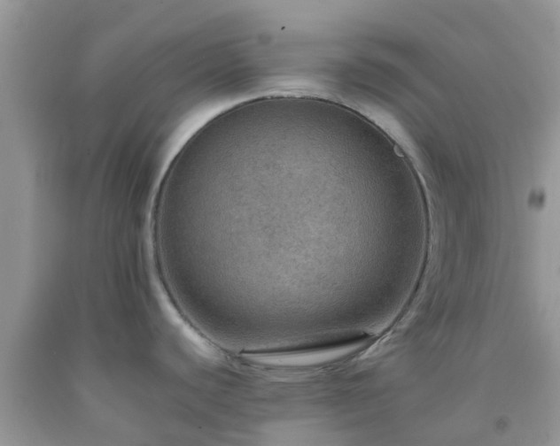 X0000092051440200709191112