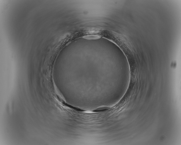 X0000092051441200709191111