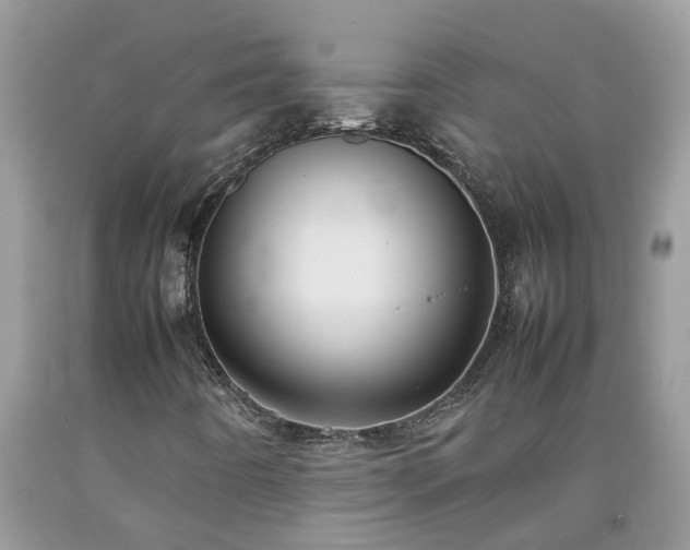 X0000092051442200709191111