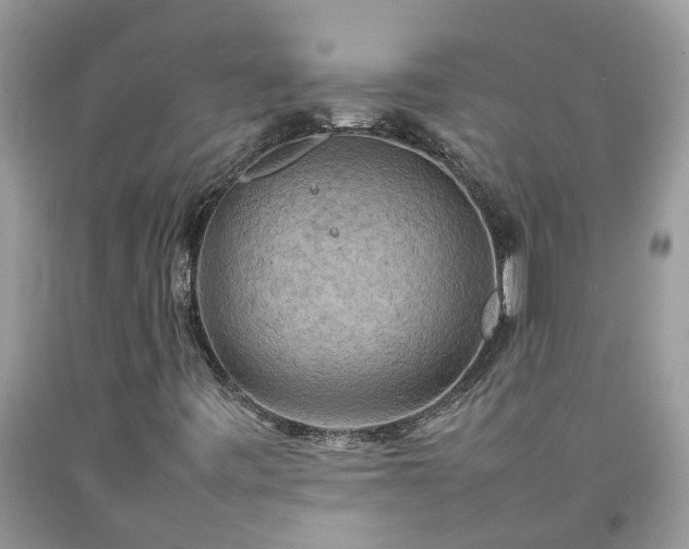 X0000092051443200709191111