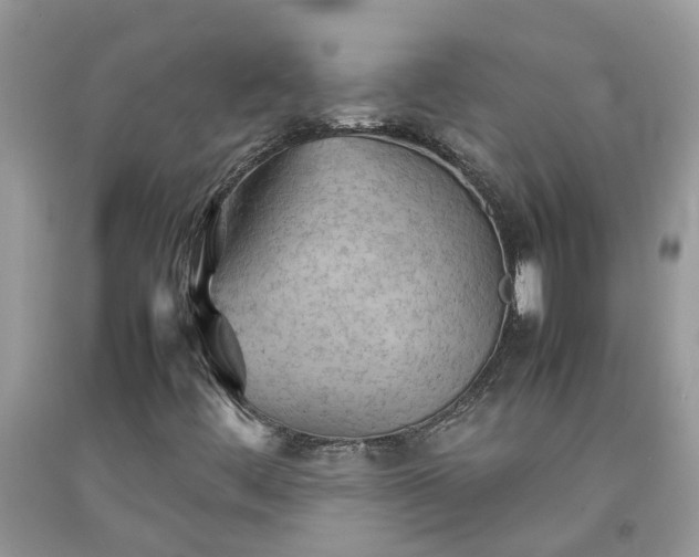 X0000092051444200709191111