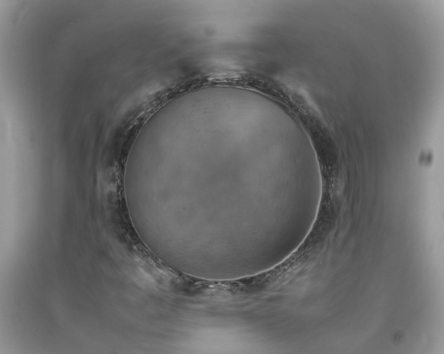 X0000092051445200709191111